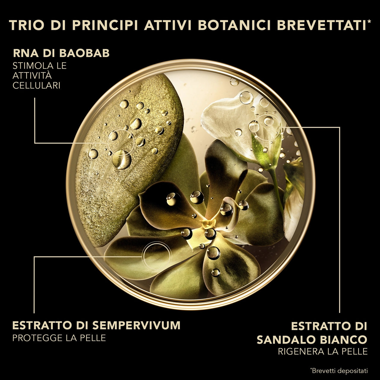 Lierac Premium La Crème Soyeuse 50 ml