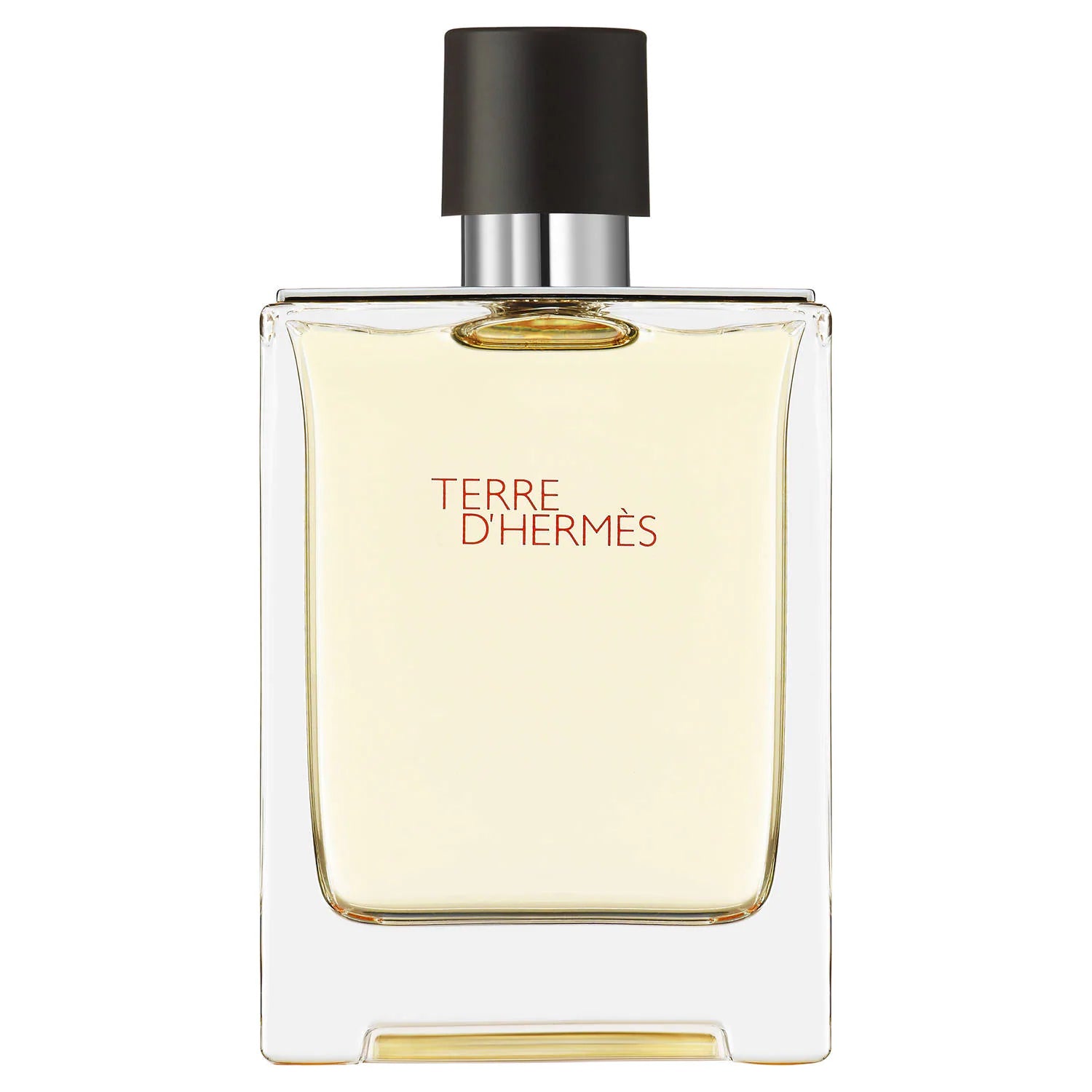 Hermès Terre d'Hermès EDT 100 ml