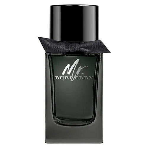 Burberry Mr. Burberry EDP 100 ml