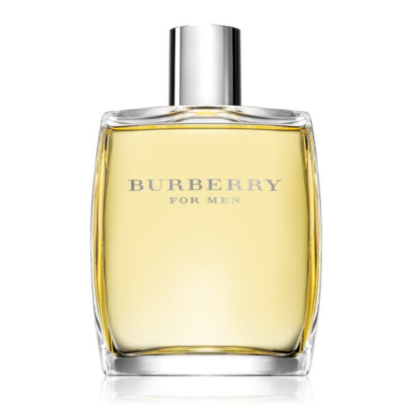 burberry for men uomo edt 100ml (1)